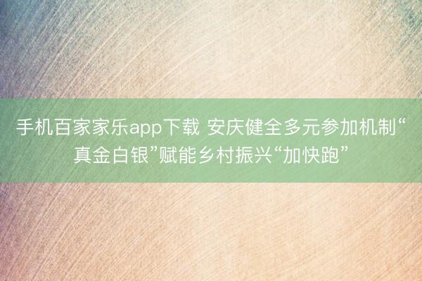 手机百家家乐app下载 安庆健全多元参加机制“真金白银”赋能乡村振兴“加快跑”