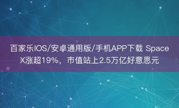 百家乐IOS/安卓通用版/手机APP下载 SpaceX涨超19%，市值站上2.5万亿好意思元
